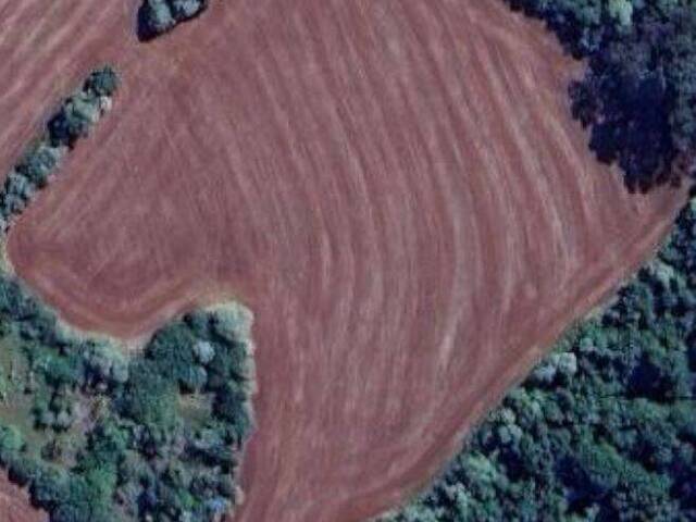 #845 - Chácara para Venda em Arapongas - PR - 1