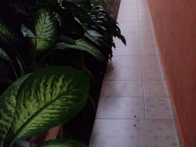 #864 - Casa para Venda em Arapongas - PR - 2