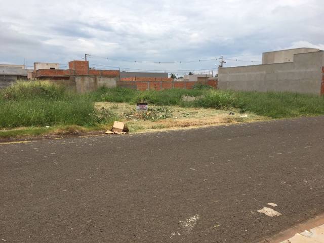 #870 - Área para Venda em Arapongas - PR - 2