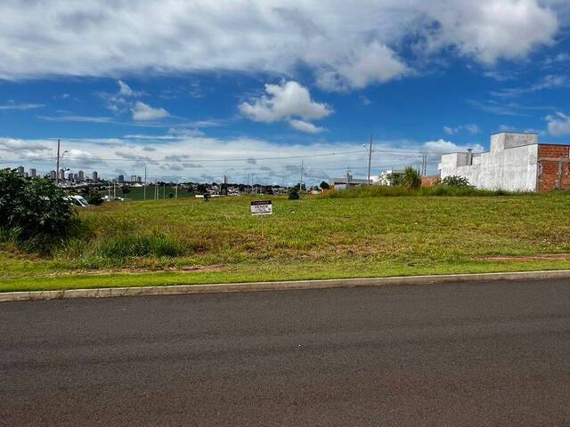 #918 - Área para Venda em Arapongas - PR - 1