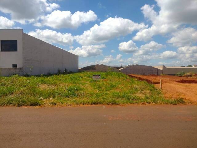 #928 - Área para Venda em Arapongas - PR - 1