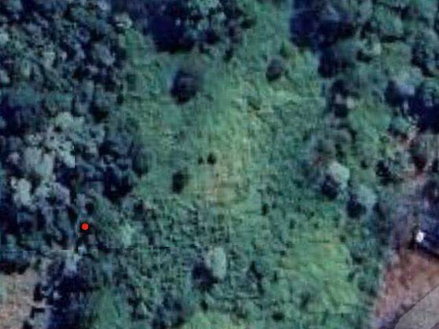 #932 - Chácara para Venda em Arapongas - PR - 1