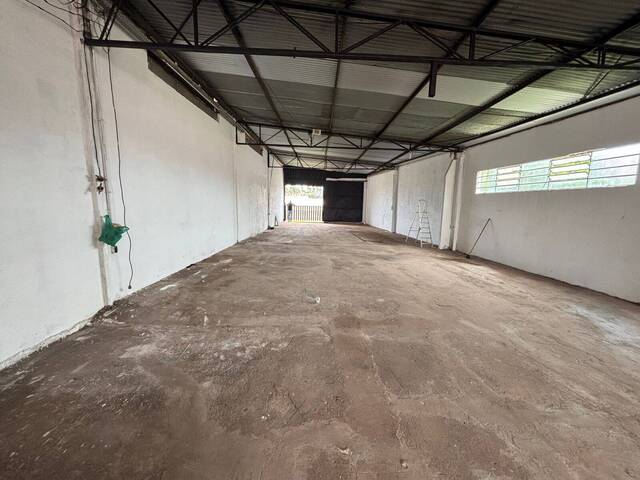 Sala para Locação em Arapongas - 4