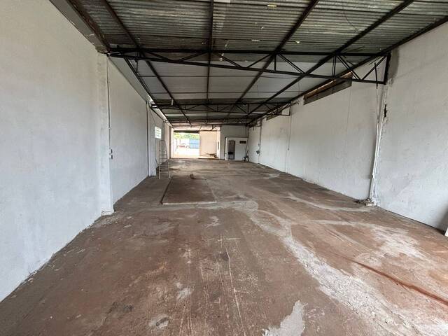 Sala para Locação em Arapongas - 5