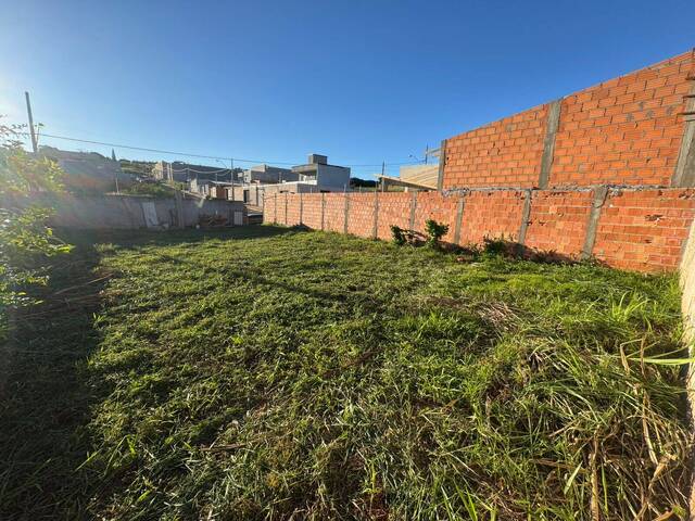 #952 - Área para Venda em Arapongas - PR - 1