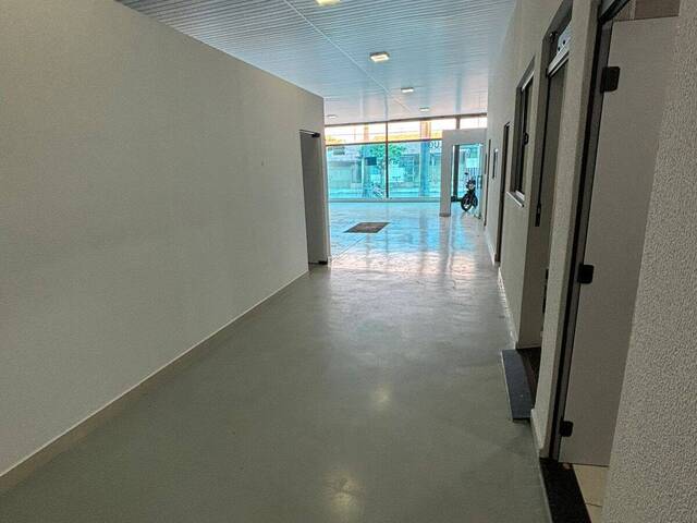 Sala para Locação em Arapongas - 5