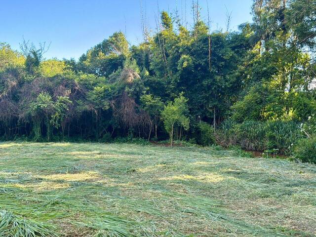 #975 - Chácara para Venda em Sabáudia - PR - 3