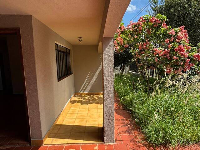 Casa para Locação em Arapongas - 4