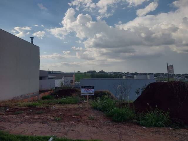 #992 - Área para Venda em Arapongas - PR - 1