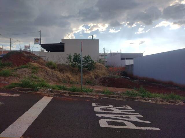 #992 - Área para Venda em Arapongas - PR - 3