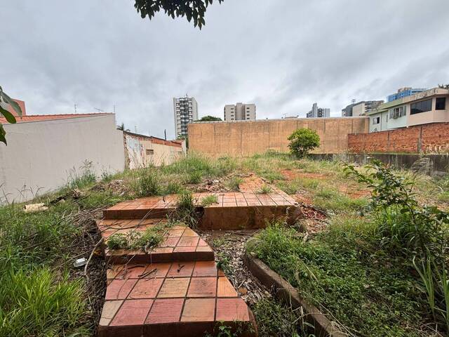 Terreno para Venda em Arapongas - 2
