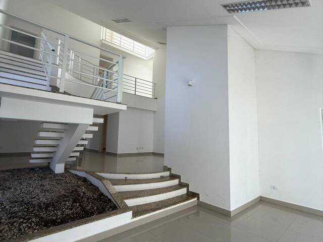 Casa para Locação em Arapongas - 4