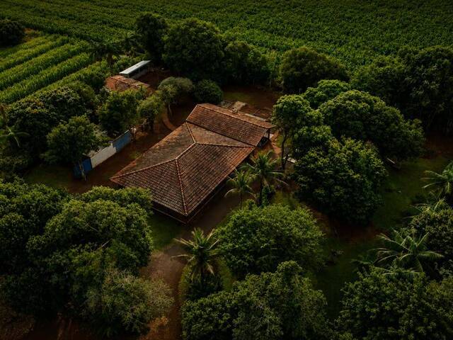 Sítio para Venda em Arapongas - 5