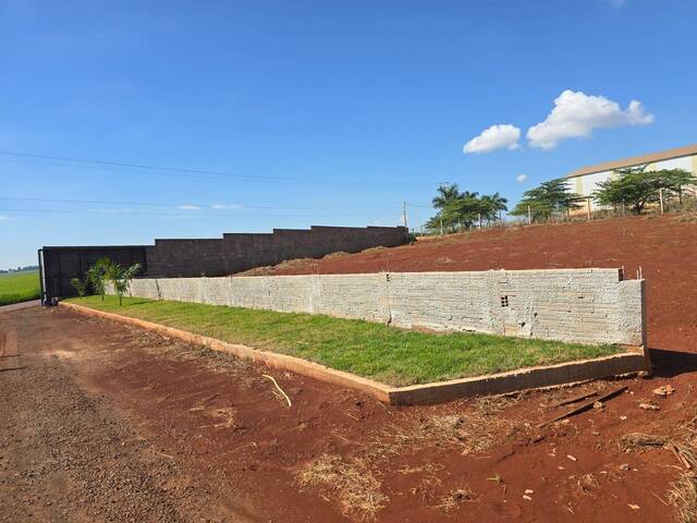 Terreno para Venda em Arapongas - 5