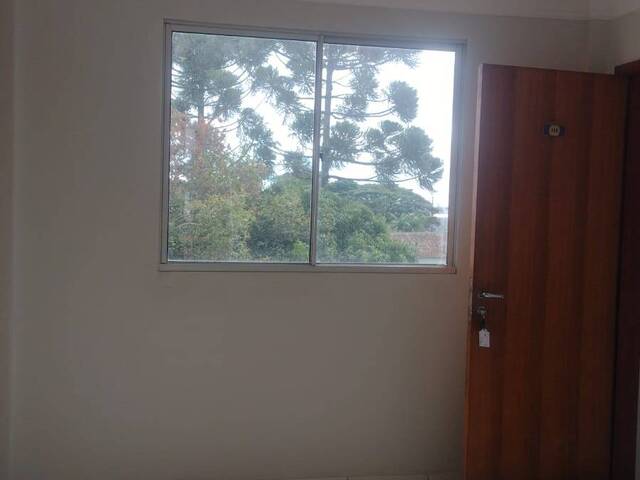 Apartamento para Locação em Arapongas - 3