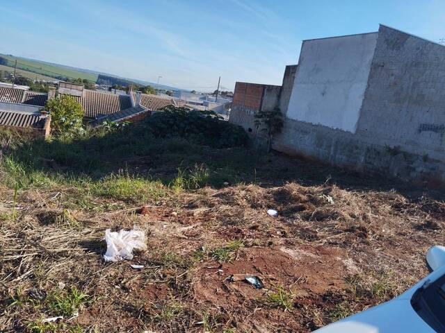 #1065 - Área para Venda em Arapongas - PR - 2