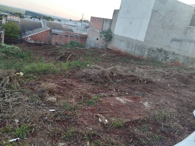 Área para Venda em Arapongas - 4